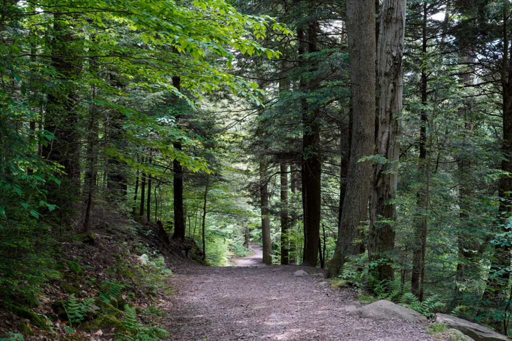 Allentown PA Moving & Storage