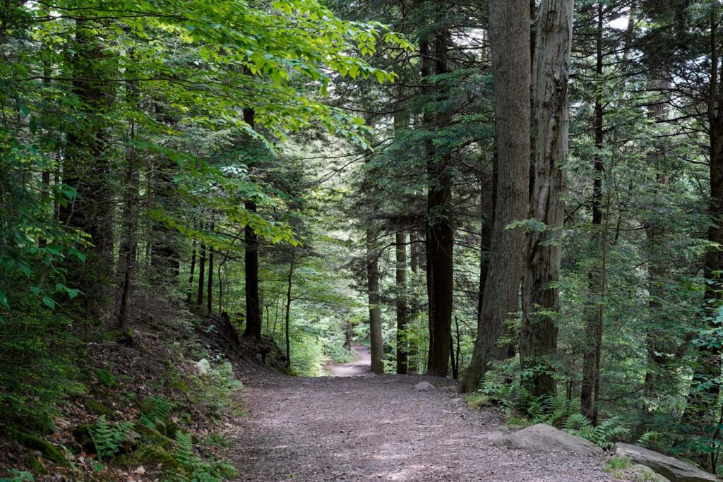 Stockertown Moving Company